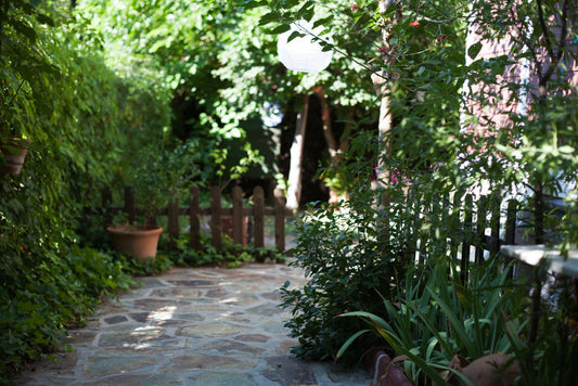 ¿Cuánto cuesta mantener un jardín? Precios y factores en 2026